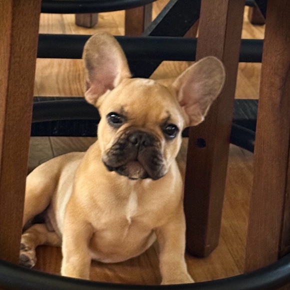 πMeet your Posher, βπ π¦π£π₯πππͺπ - Picture 16 of 16